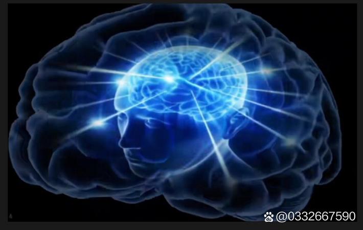 某知名运动员被曝与教练发生激烈冲突,训练营内部矛盾升级